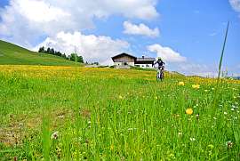 Eine Radfahrerin fhrt ber eine Bergwiese, im Hintergrund eine Alm.