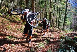 Mehrere Radfahrer, die ihre Mountainbikes schultern und im Wald eine Treppe hochtragen.